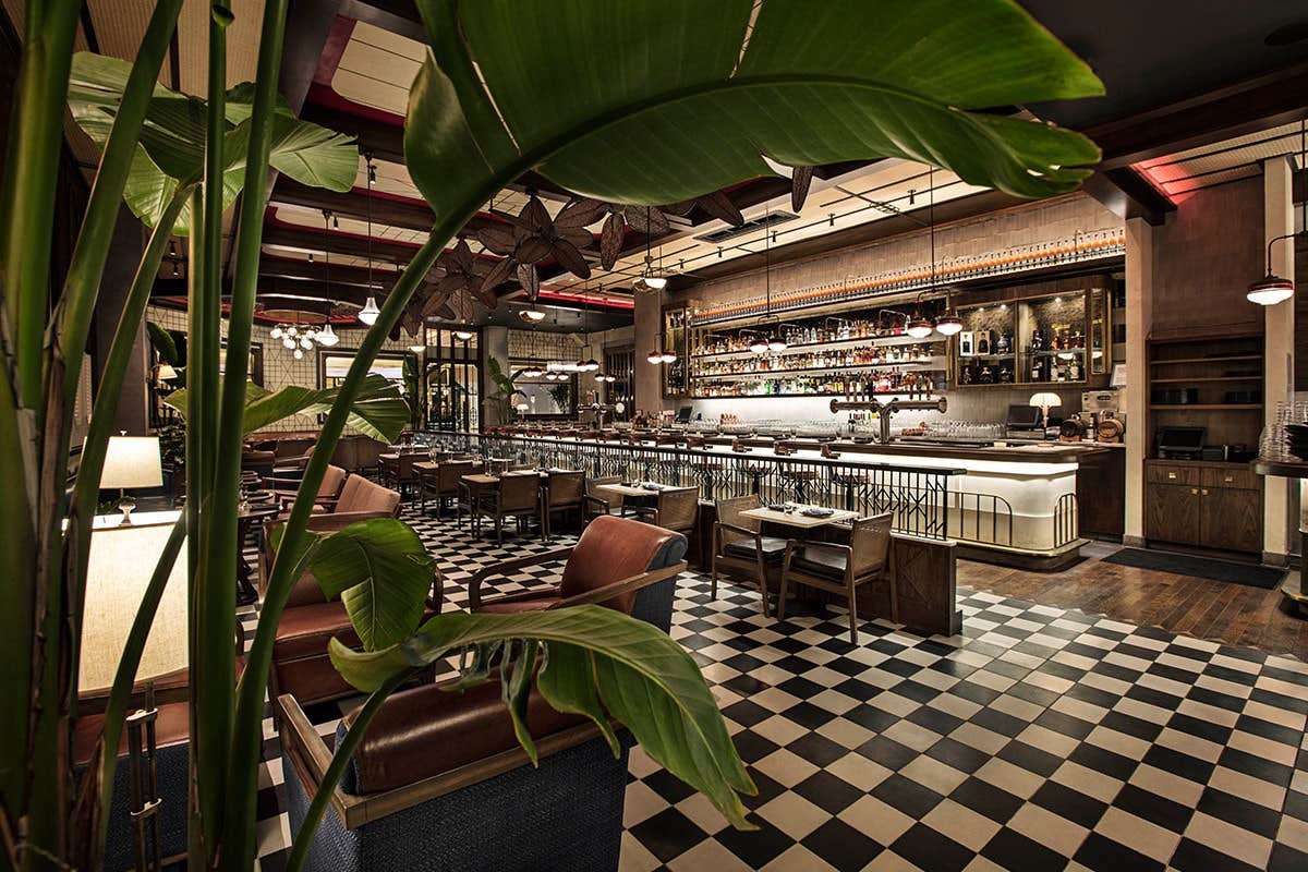 Stylish restaurant with a checkerboard floor, modern bar, and lush plant in the foreground.