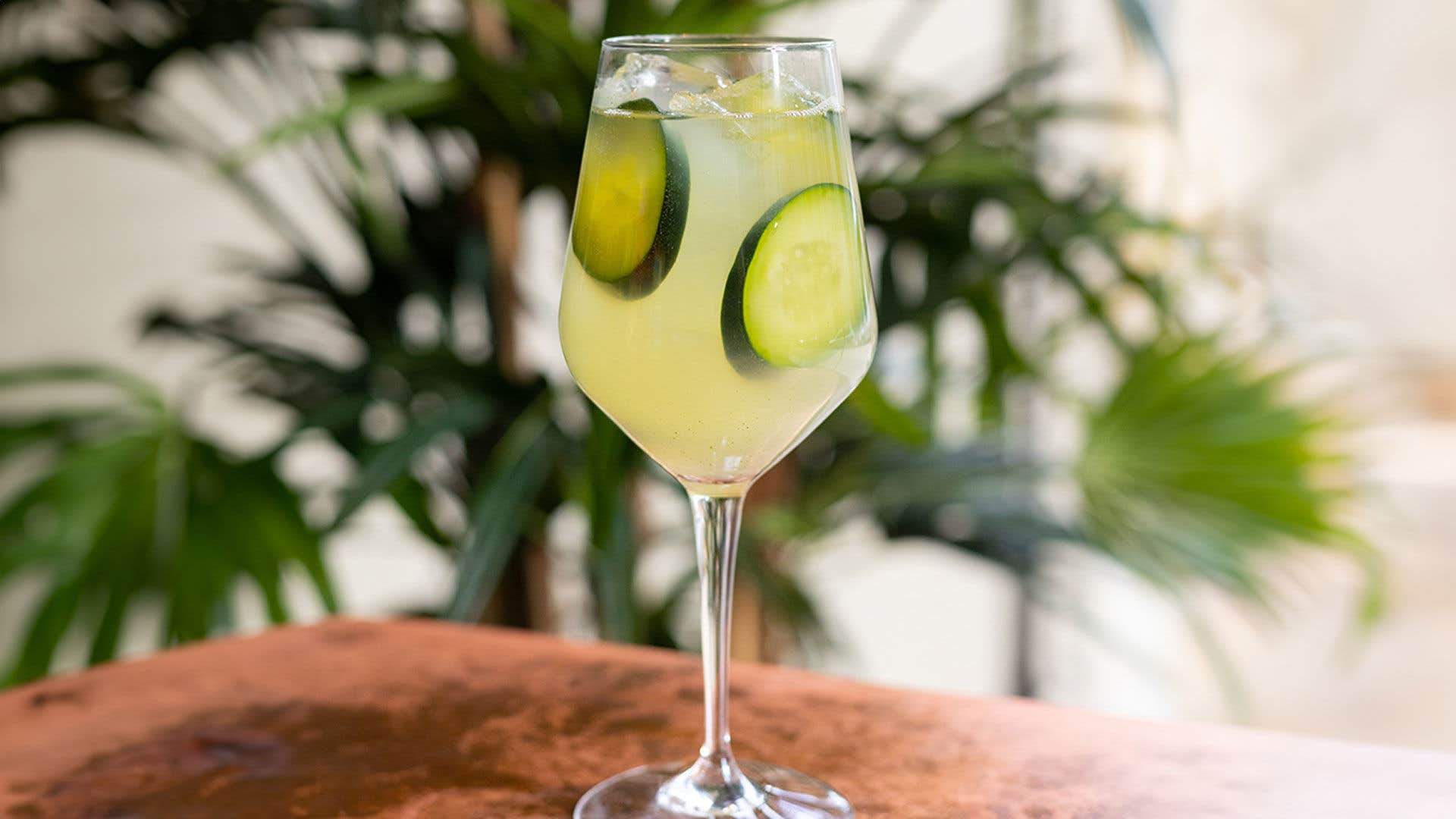 A wine glass with Cucumber Cove cocktail; a light yellow-green drink, ice cubes, and cucumber slices, on a wooden table with a plant in the background.