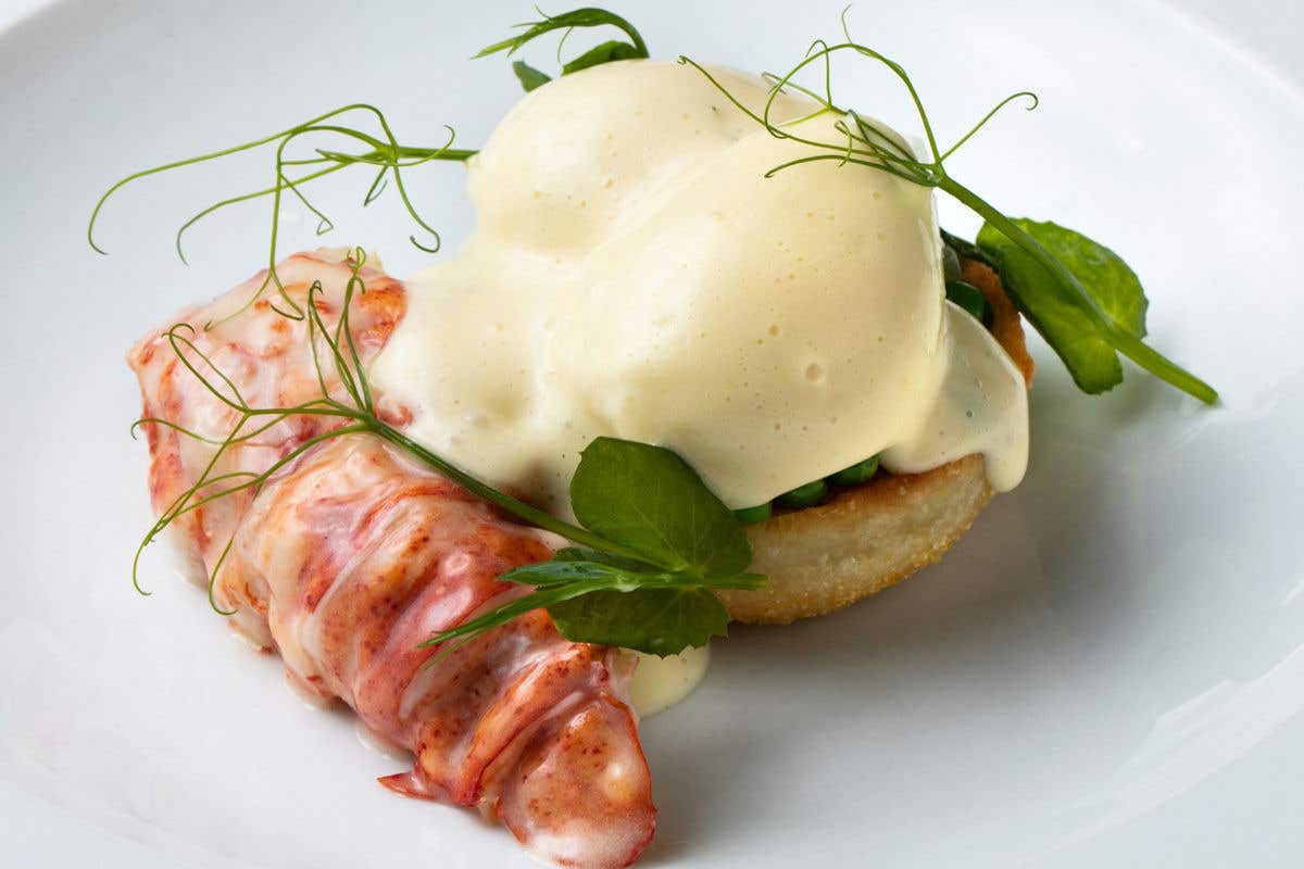 Lobster Benedict served on toasted bread with hollandaise sauce.