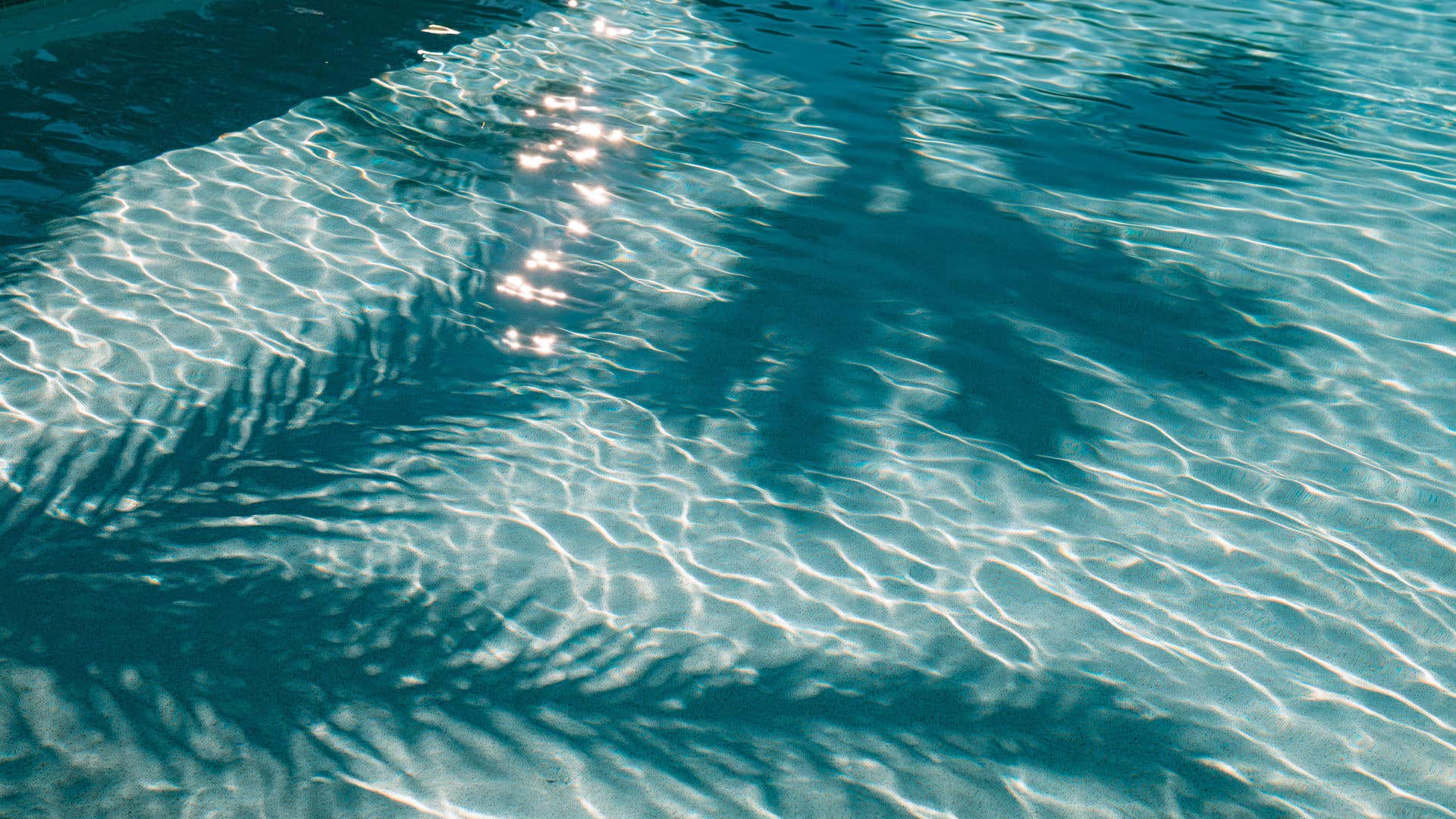 Sunlight reflecting across rippling turquoise pool water with palm tree shadows.